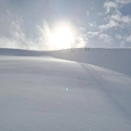 豪斯西蒙娜公寓 公寓 *