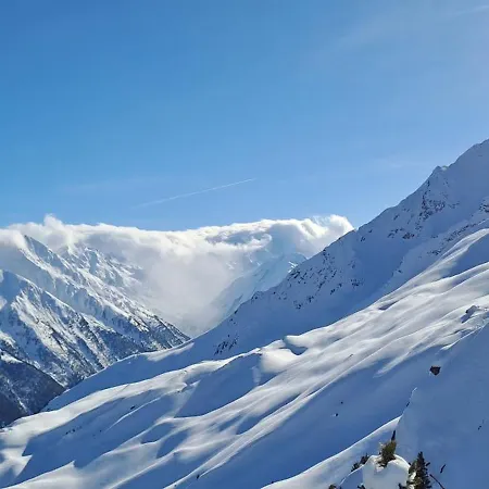 公寓 豪斯西蒙娜公寓 *