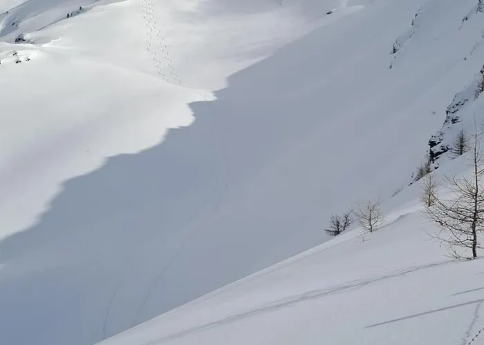 豪斯西蒙娜公寓 公寓 *